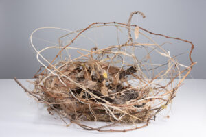Home fibre,willow,grape vine and tissue paper bird