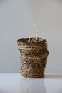 basket with vines from the garden