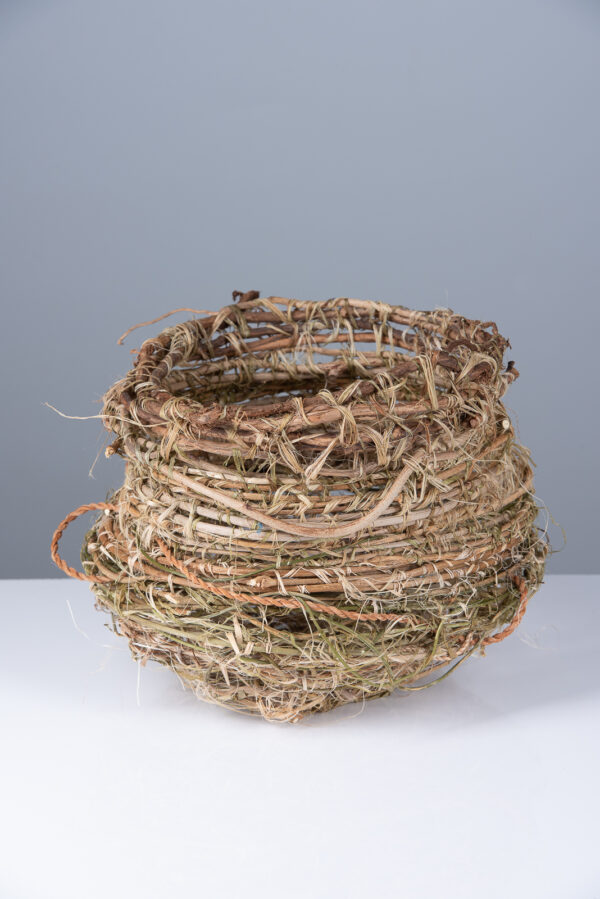 basket with garden vines